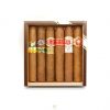 Buy Robustos Cigars Online